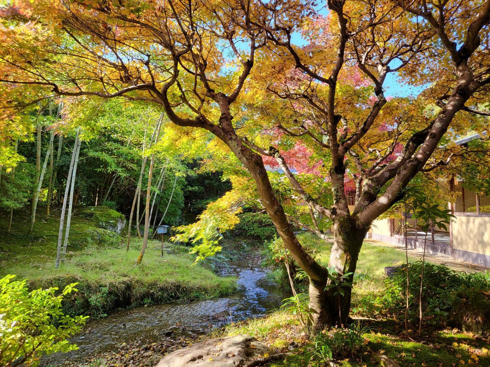 Hotel Sanyo-So Izunokuni Esterno foto